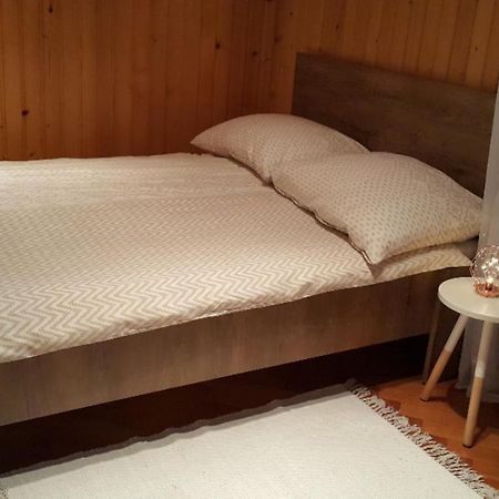 Ljubljana City Centre Apartment ภายนอก รูปภาพ